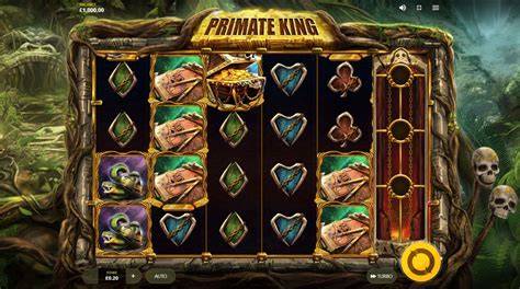 Primate King - Red Tiger Gaming