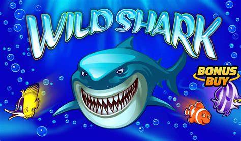 Shark - Top Trend Gaming
